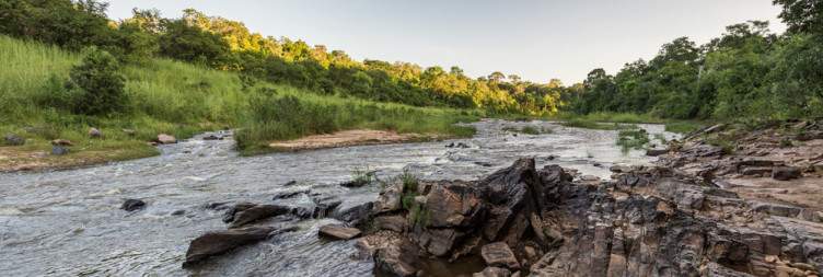 Nkhotakota Wildlife Reserve