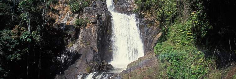 Explore More of Nyika Plateau