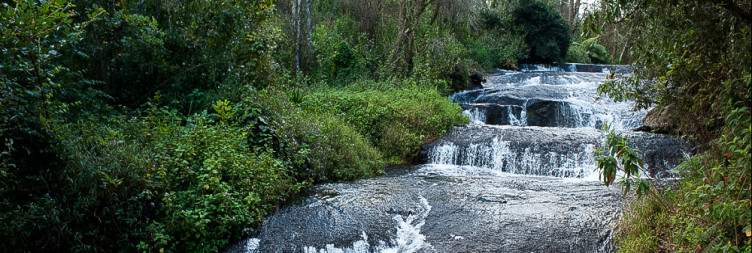 Depart to Zomba Plateau