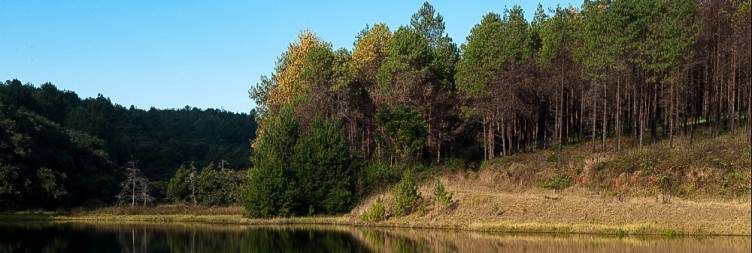 More of Zomba Plateau