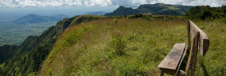 Transfer to Zomba