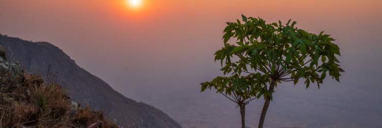 Zomba platue via Chilema Tree and Malape Hills