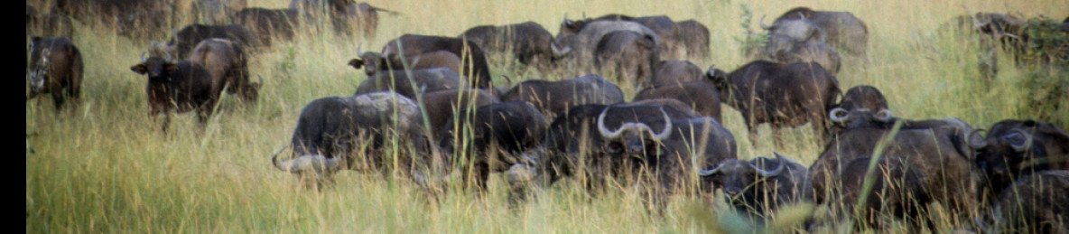 13-Day Malawi Luxury Safari for Couples
