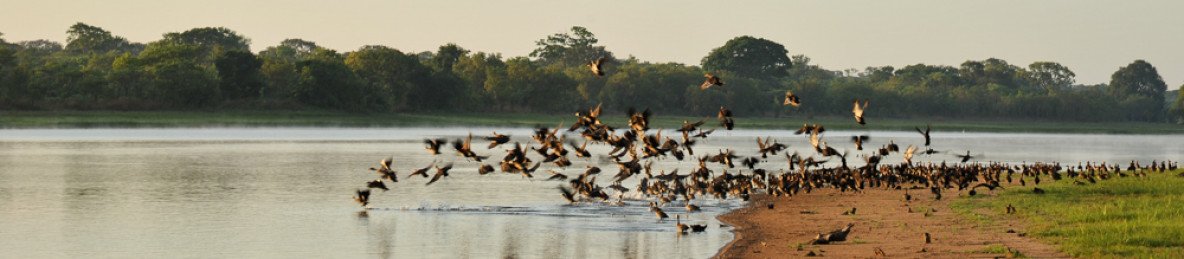 6-Day Discovering the Wonders of Lake Malawi