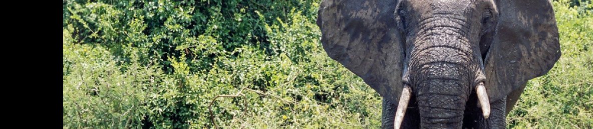 14-Day Malawi off the Beaten Track Safari