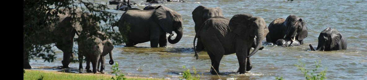 4-Day Wildlife at Liwonde National Park