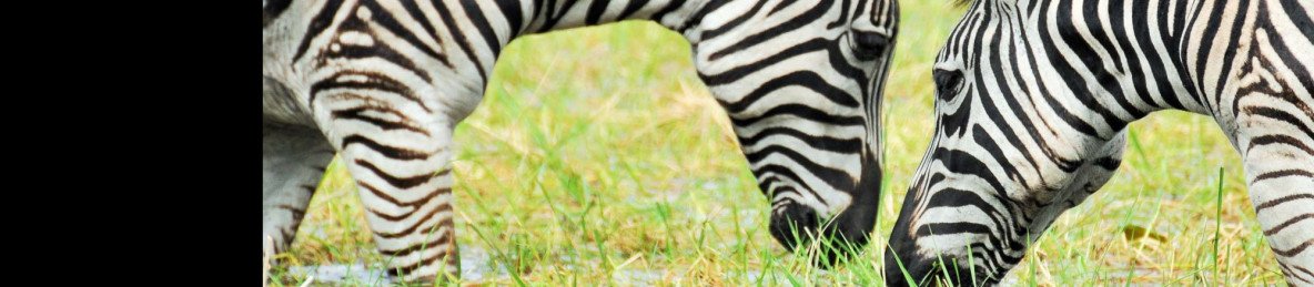 13-Day Luxury Malawi Safari