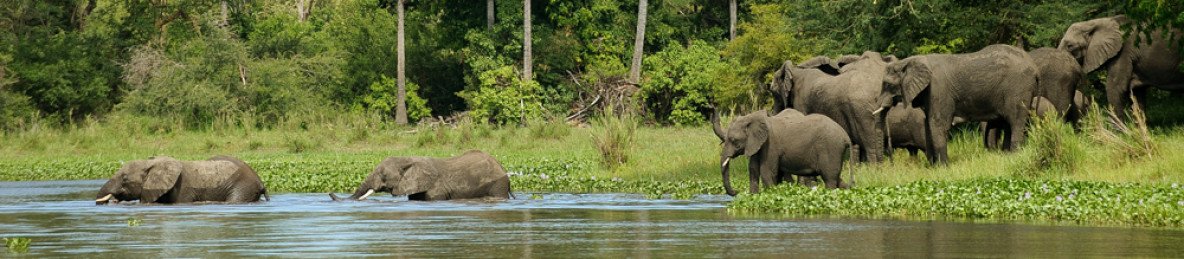 4-Day Liwonde National Park