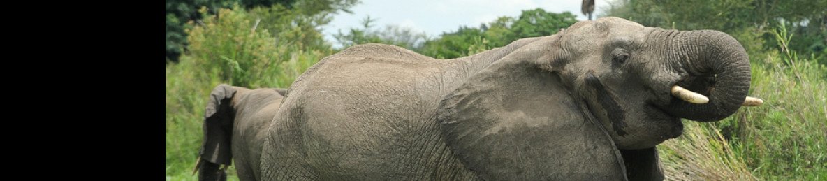 6-Day The Malawi Budget Holiday Escape on a Max