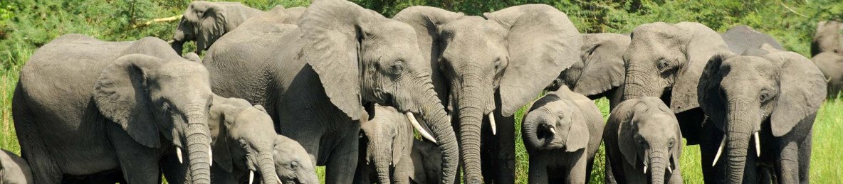 13-Day Malawi Deluxe Adventure