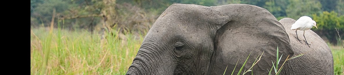 5-Day Malawi Safari -Beach Experience