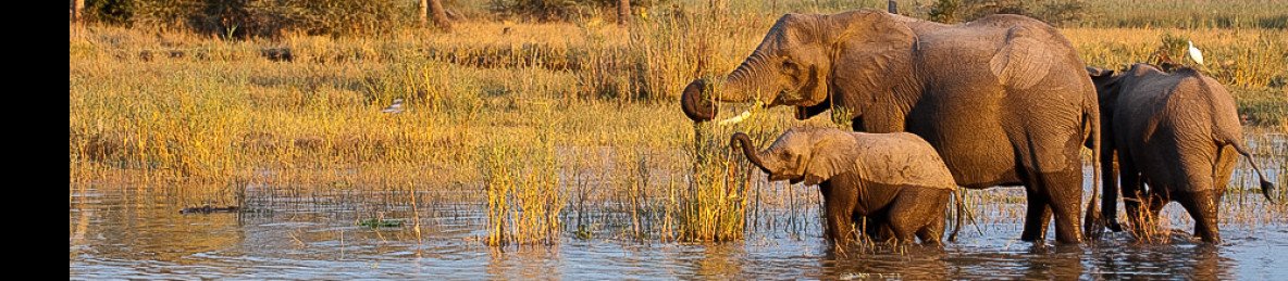 10-Day Malawi Experience