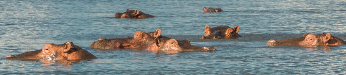 3-Day Wild Luxury at Nkulumadzi in Majete Malawi