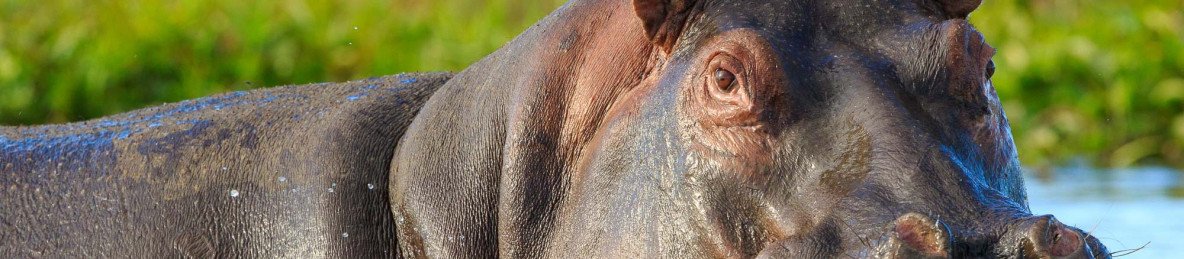 10-Day Malawi Family Road Trip