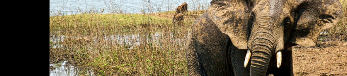 12-Day Malawi Highlights