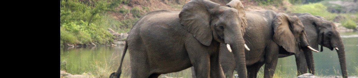 11-Day Ultimate Malawi Adventure