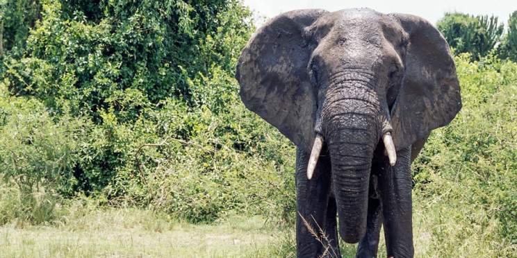 14-Day Malawi off the Beaten Track Safari