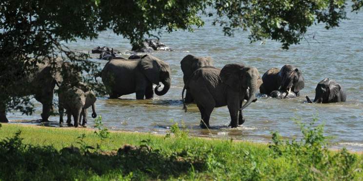 4-Day Wildlife at Liwonde National Park