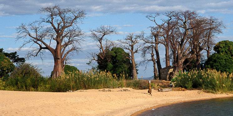 5-Day 4 Nights in Malawi