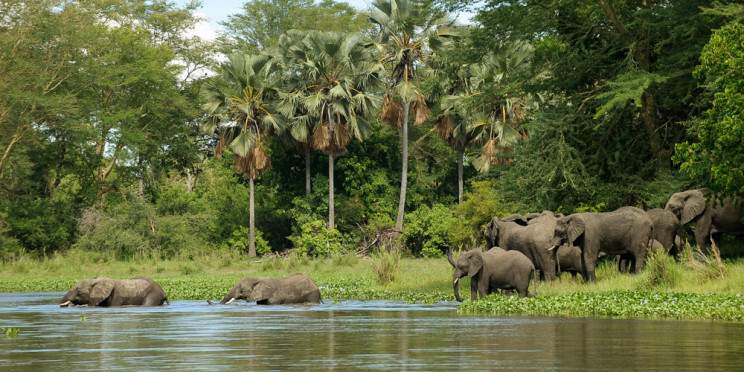 4-Day Liwonde National Park