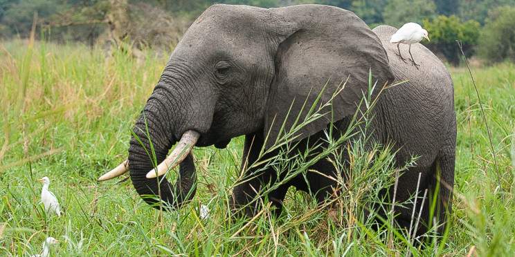 5-Day Malawi Safari -Beach Experience