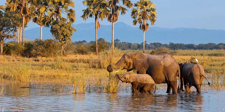 10-Day Malawi Experience