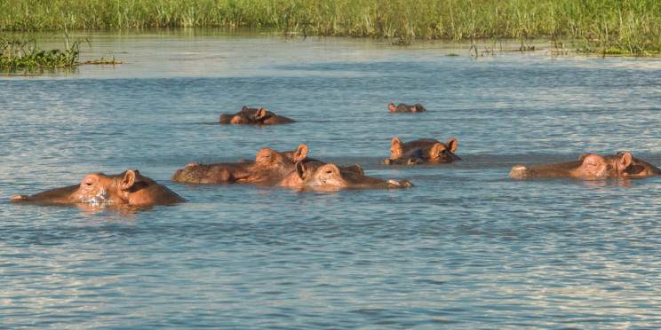 3-Day Wild Luxury at Nkulumadzi in Majete Malawi