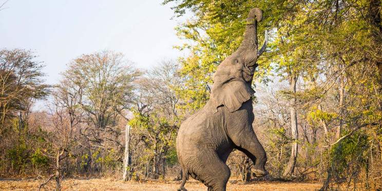 9-Day Malawi Culture, Wildlife and Vibes