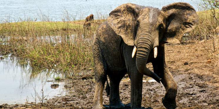 12-Day Malawi Highlights
