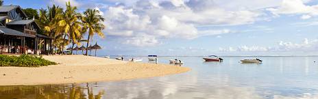7-Day Luxury, Whale Watching & Swimning with Dolphins