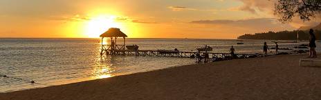 7-Day Mauritius Whale Watching & Swimming with Dolphins
