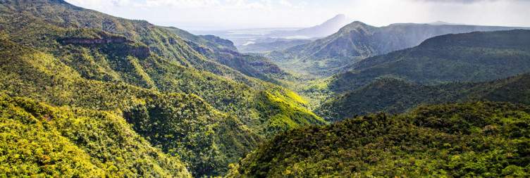 Explore Chamarel & Rum Distillery