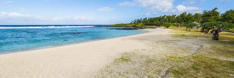 Guided Beach Trek