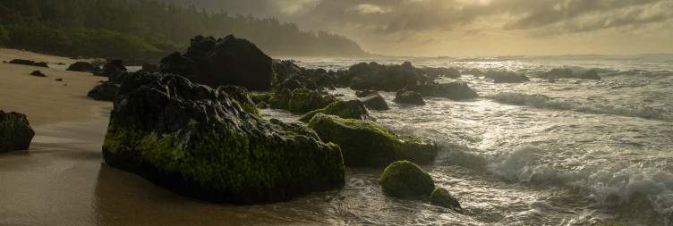 Guided Beach Trek by Pont Naturel & Le Souffleur