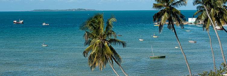 Getaway to Beach Paradise