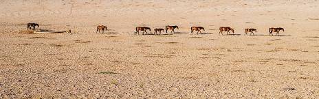 7-Day Southern Namibia Adventurer