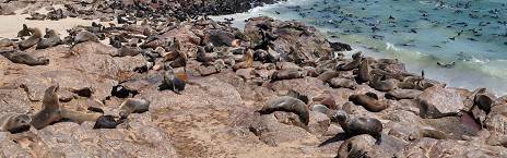 9-Day Namibia's Wildlife, Coast and Dunes Safari