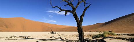 10-Day Luxury Namibia Highlights Tour