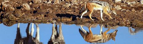 6-Day Dunes & Wildlife Lodge Safari
