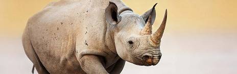 7-Day Namibia Highlights