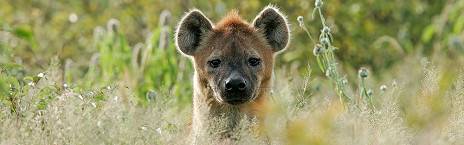 8-Day Namibia Highlights Self-Drive Tour