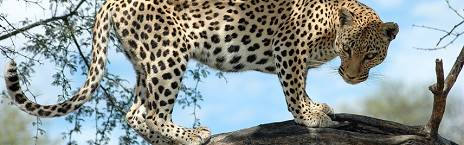 6-Day Wildlife & Dunes Experience
