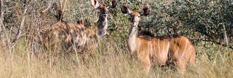 Bwabwata National Park