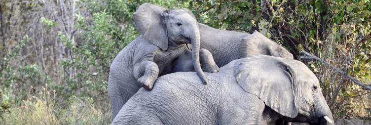 Bwabwata National Park & Mahango Game Reserve