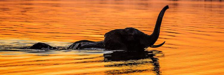 Bwabwata National Park (Buffalo Core Area) Full-Day Guided Safari