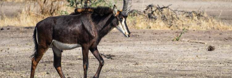 Bwabwata National Park-Kwando Core Area & KAZA Transfrontier Wilderness