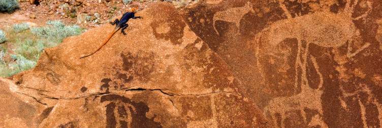Activities in Damaraland