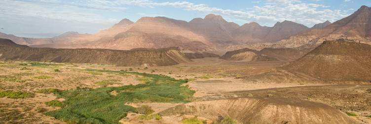 10-Day Best of Namibia Lodge Safari