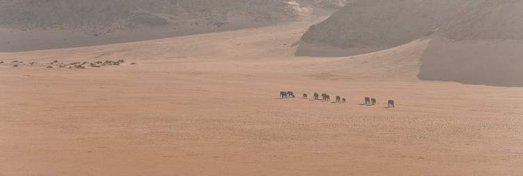 Explore Damaraland
