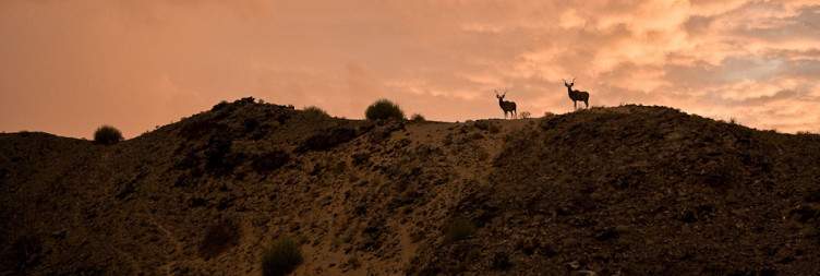 Swakopmund to Damaraland